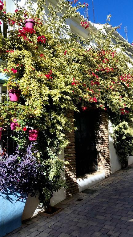 Appartement Apartamentomirada à Estepona Extérieur photo